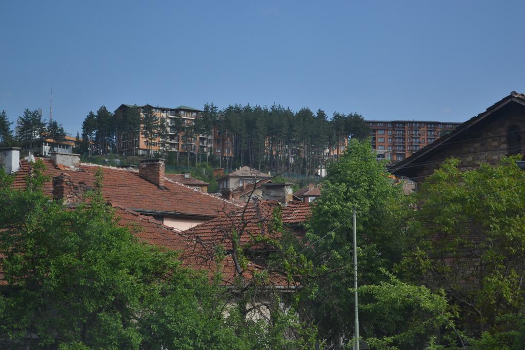 Apartments Ivadoni Велинград Экстерьер фото